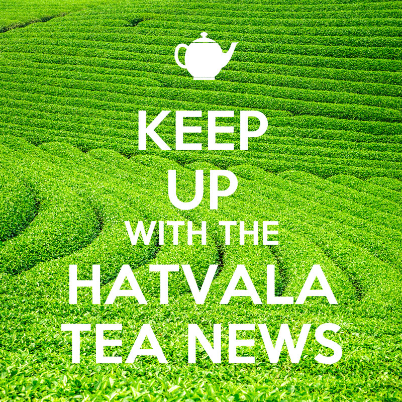 Newsletter Subscribe